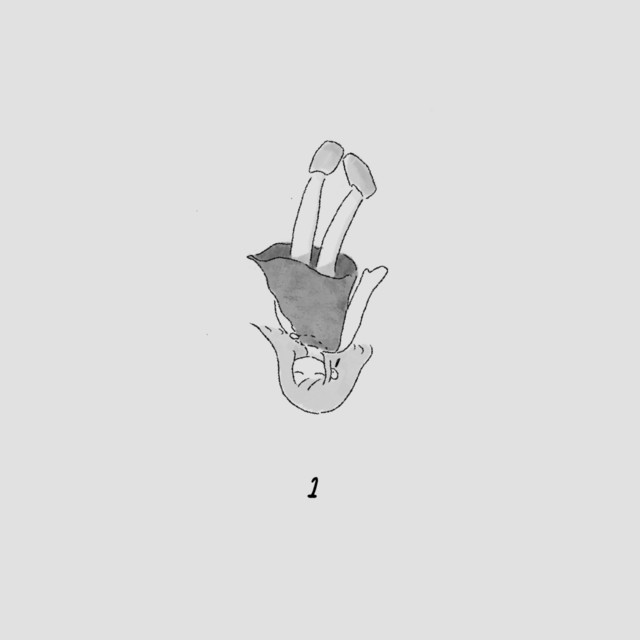 1 cover art