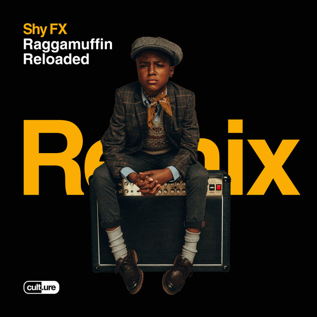 Bye Bye Bye (feat. Jvck James & Chronixx) - S.P.Y Remix album art