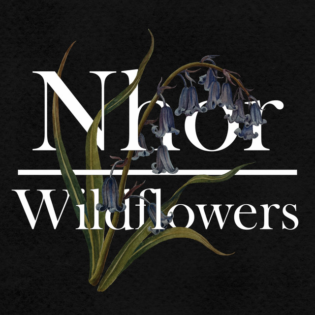 Wildflowers: Spring cover art