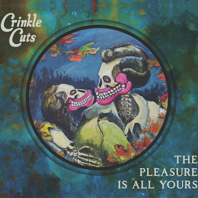 The Pleasure Is All Yours cover