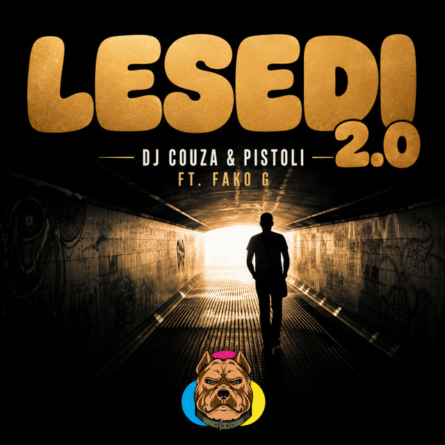 Lesedi 2.0 album image