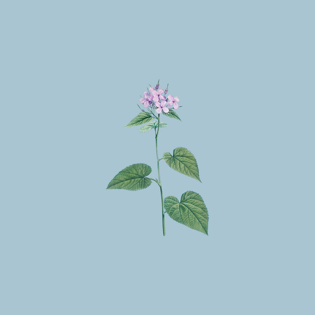 アンダーグラウンド - Single by kakizaki yuta | Spotify