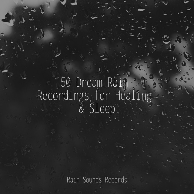 50 Dream Rain Recordings for Healing & Sleep - Album by Bird Sounds ...