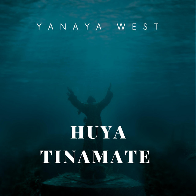 Huya Tinamate cover art
