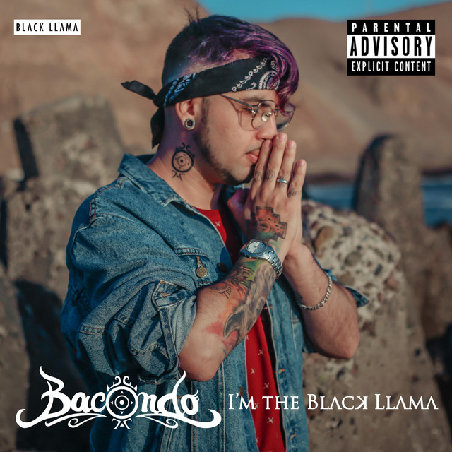 I'm The Black Llama cover art