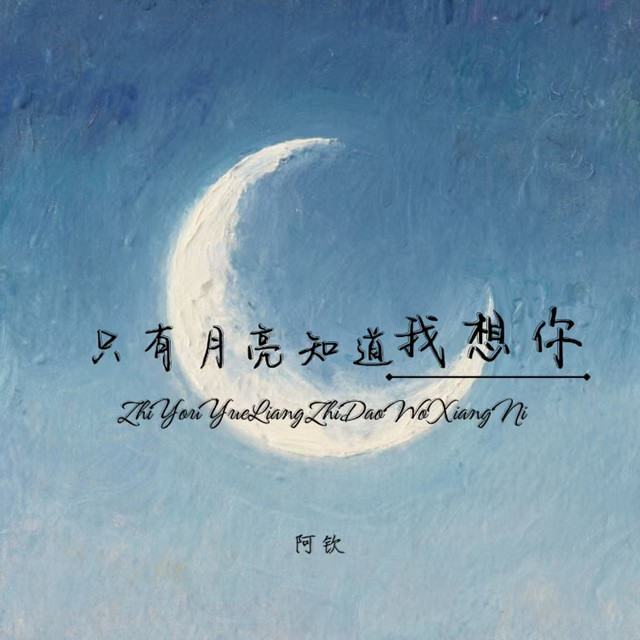只有月亮知道我想你 cover art
