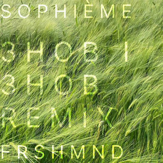 Обкладинка: Знов і знов - Remix — Sophième