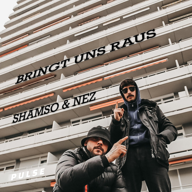 BRINGT UNS RAUS cover art