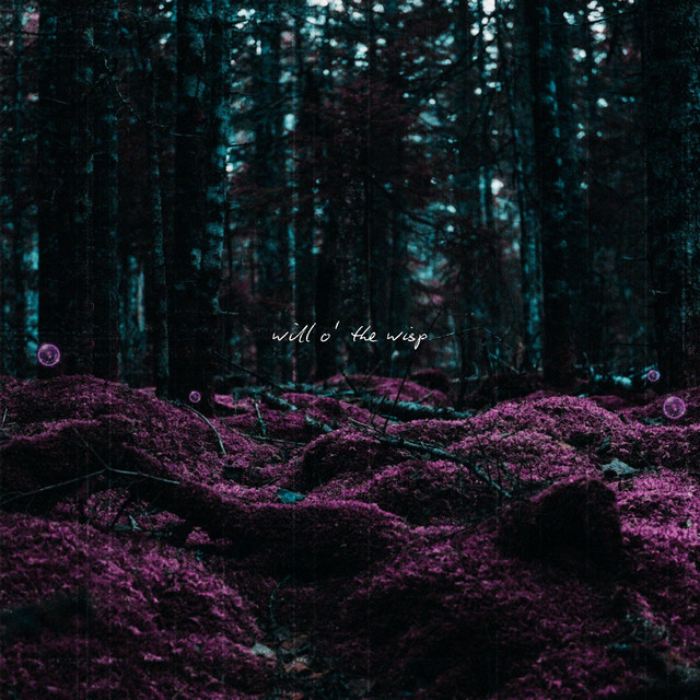 Will o' the Wisp