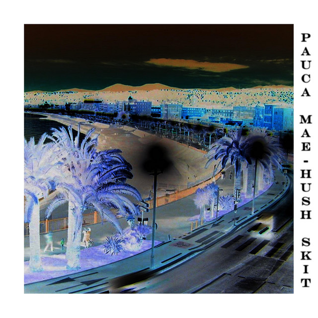 Pauce Meae : Hush skit cover art