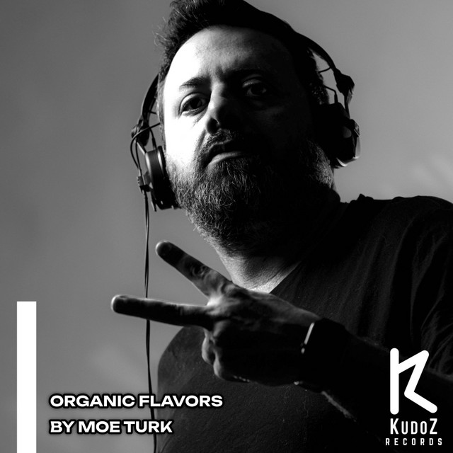 Organic Flavors By Moe Turk cover art