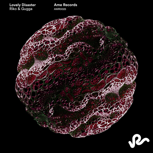 Lovely Disaster album art