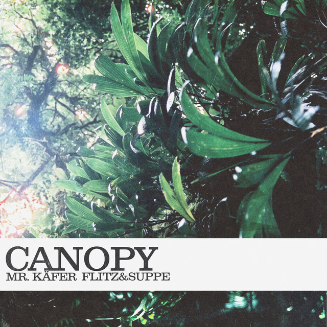 Canopy album image