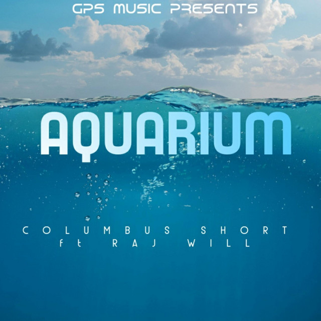 Aquarium cover