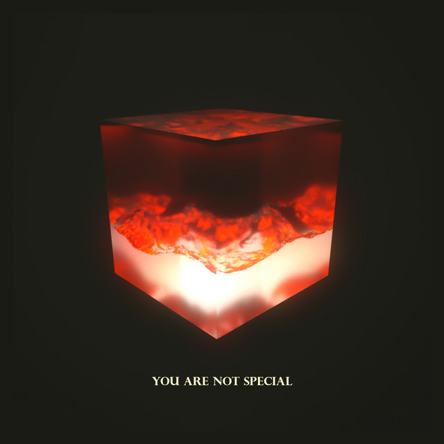 You are not special cover art