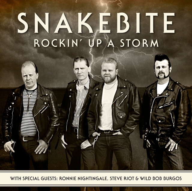 Rockin' up a Storm cover art