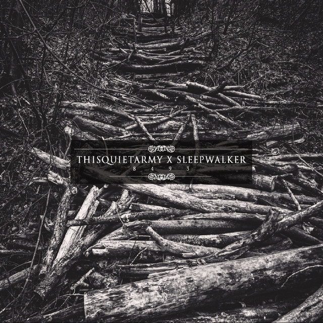 8493 cover art