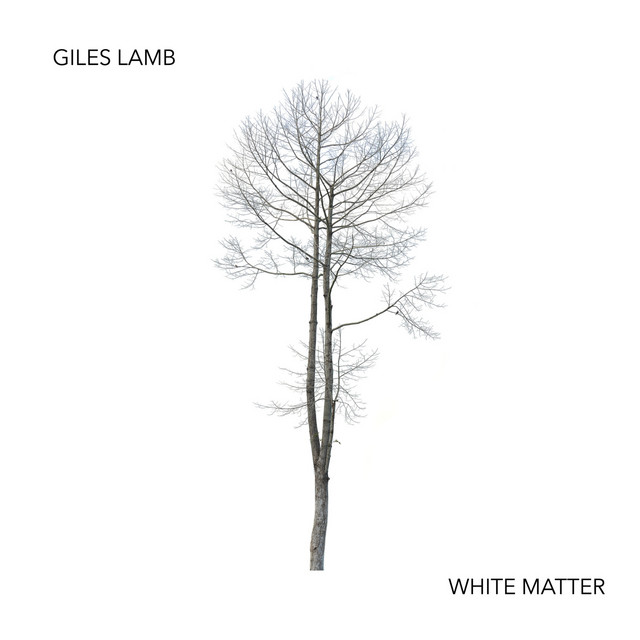 White Matter cover art
