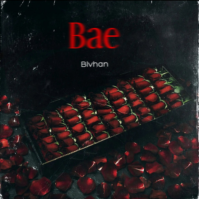 Bae cover art