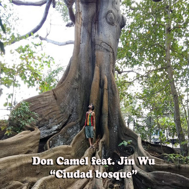 Cover of Ciudad Bosque by Don Camel