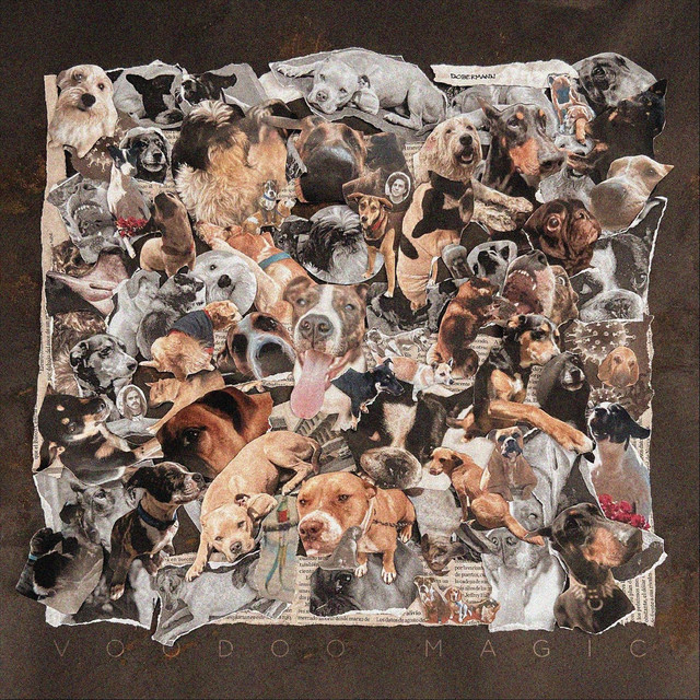 Dobermann cover art