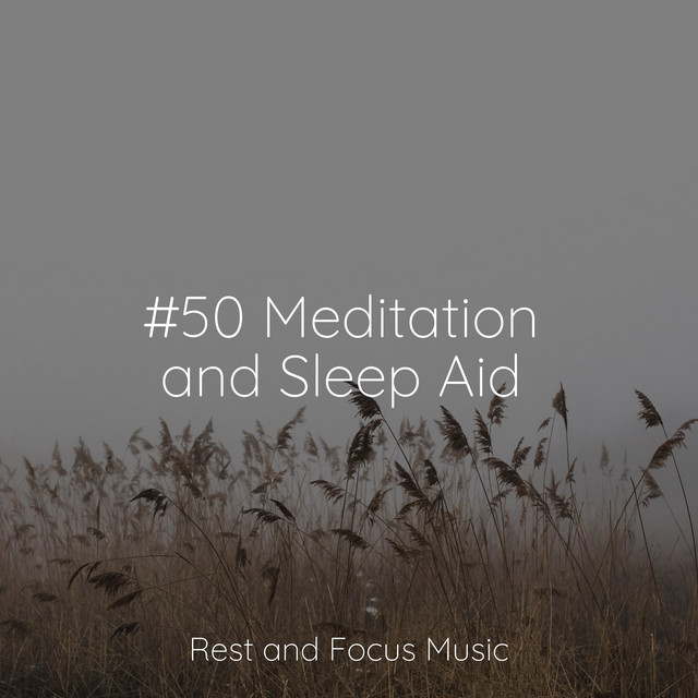 #50 Meditation and Sleep Aid - Album by Study Zone | Spotify