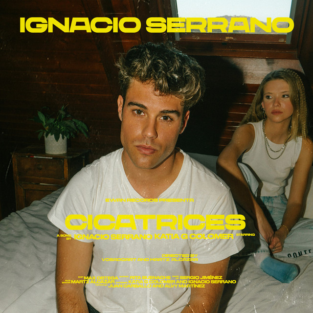 Cicatrices cover art