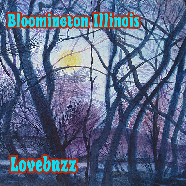 Bloomington Illinois cover art