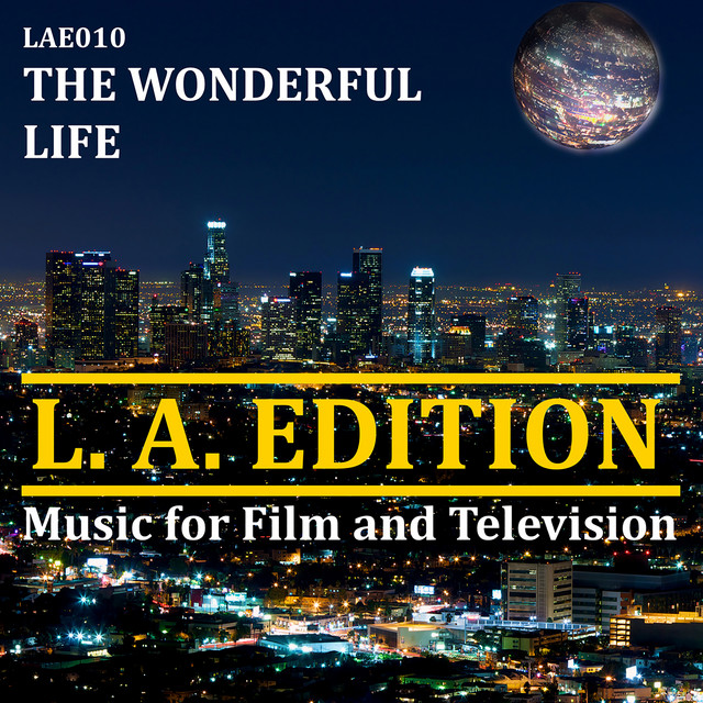 The Wonderful Life cover art