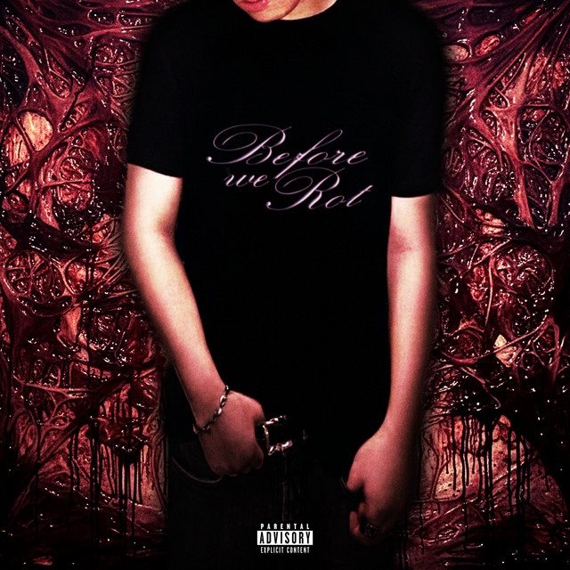 Before We Rot cover art