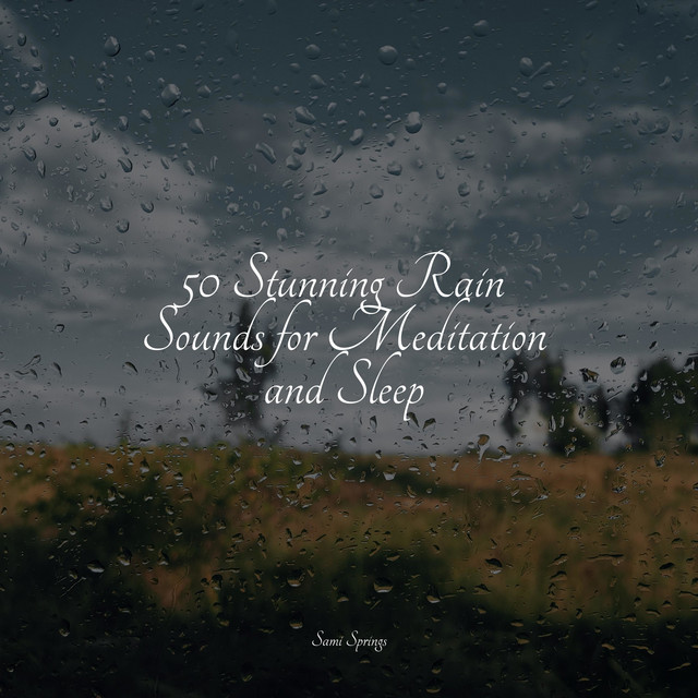 50 Stunning Rain Sounds for Meditation and Sleep - Album by Pure ...