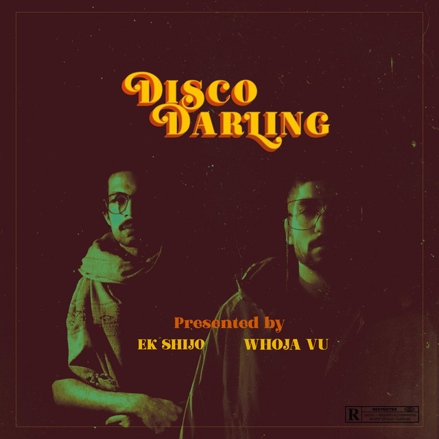 Disco Darling