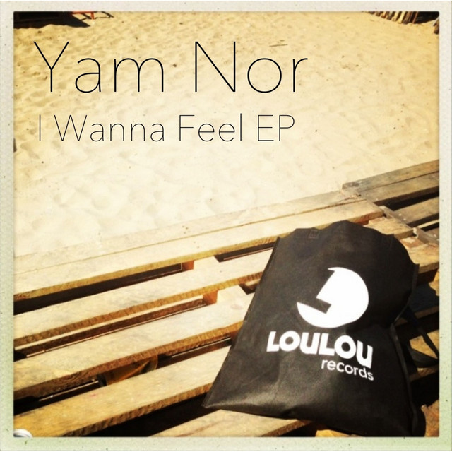 I Wanna Feel cover