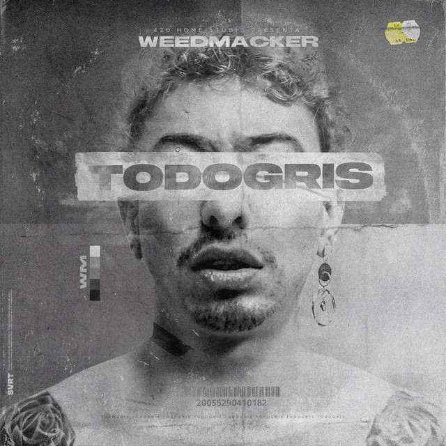Todo Gris cover art