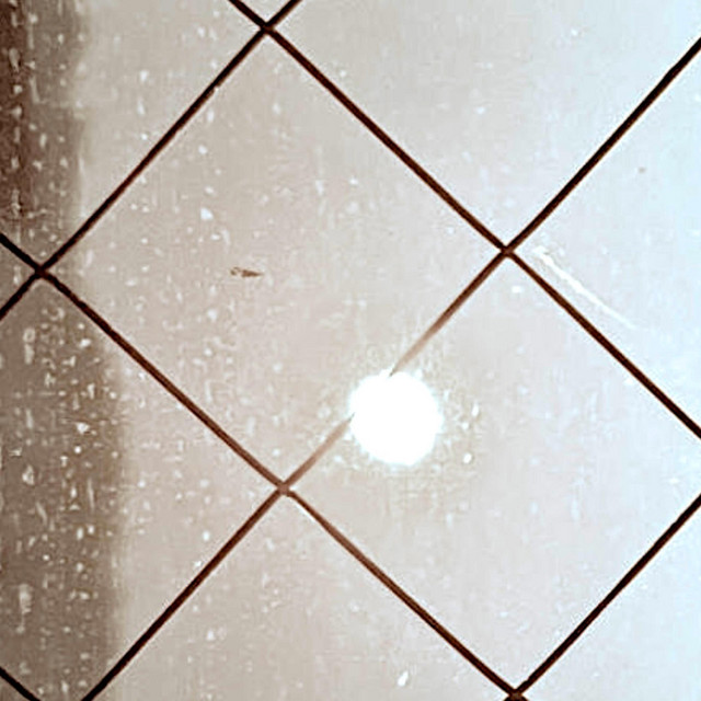 Shine