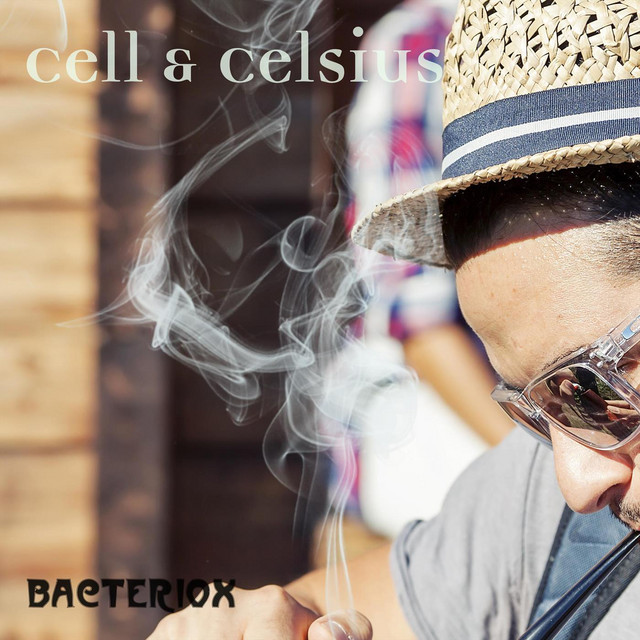 bacter Photo