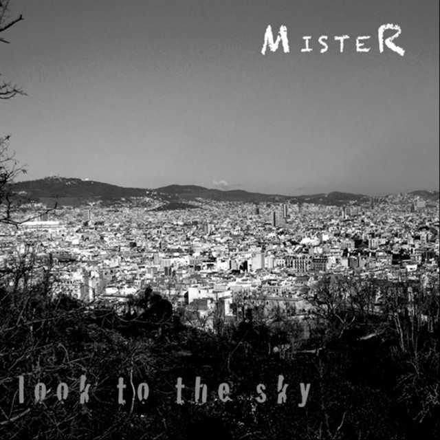 Look To The Sky cover art