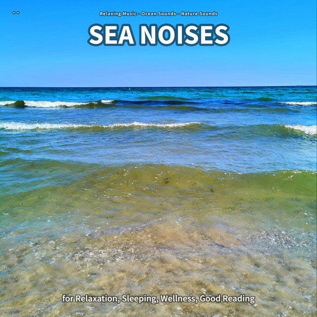 ** Sea Noises for Relaxation, Sleeping, Wellness, Good Reading cover art