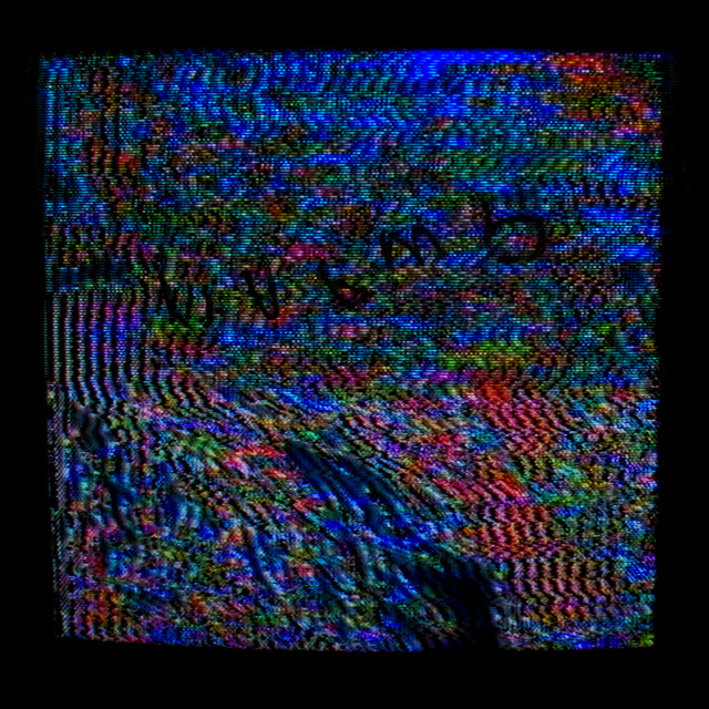 Womb cover art