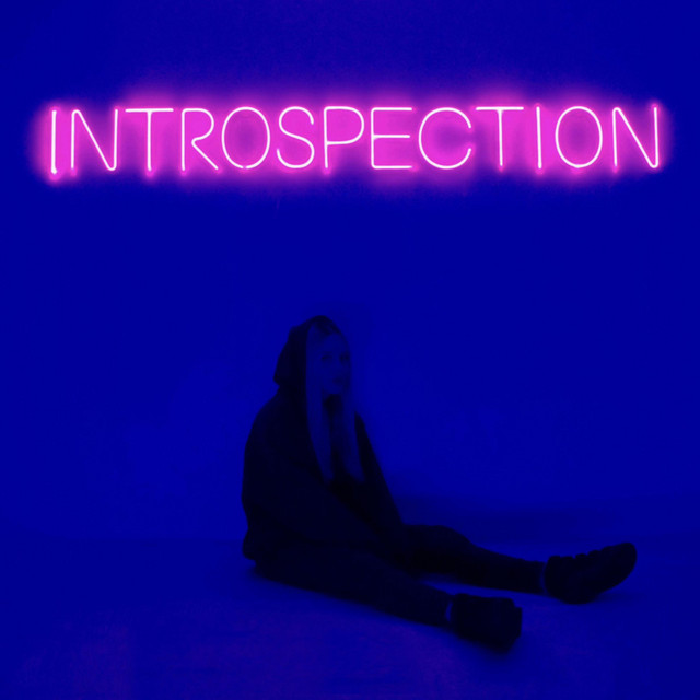 INTROSPECTION cover art