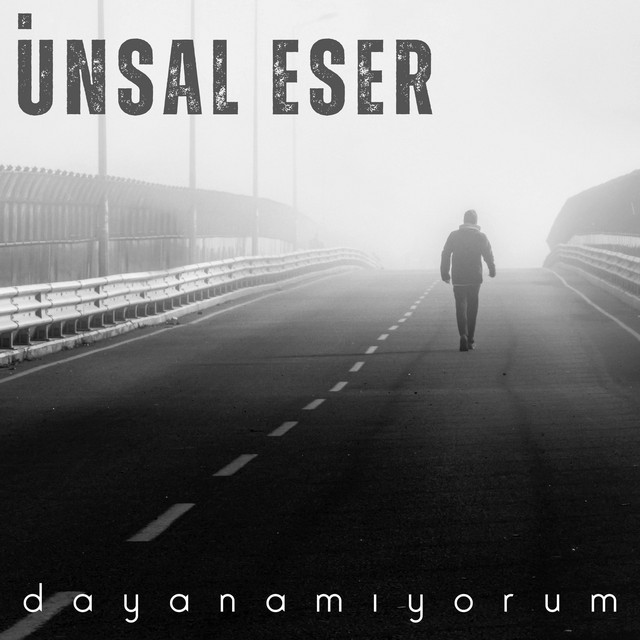 Dayanamıyorum — Ünsal Eser