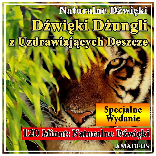 Dźwięki Dżungli z Uzdrawiających Deszcze: Naturalne Dźwięki: Specjalne Wydanie cover art
