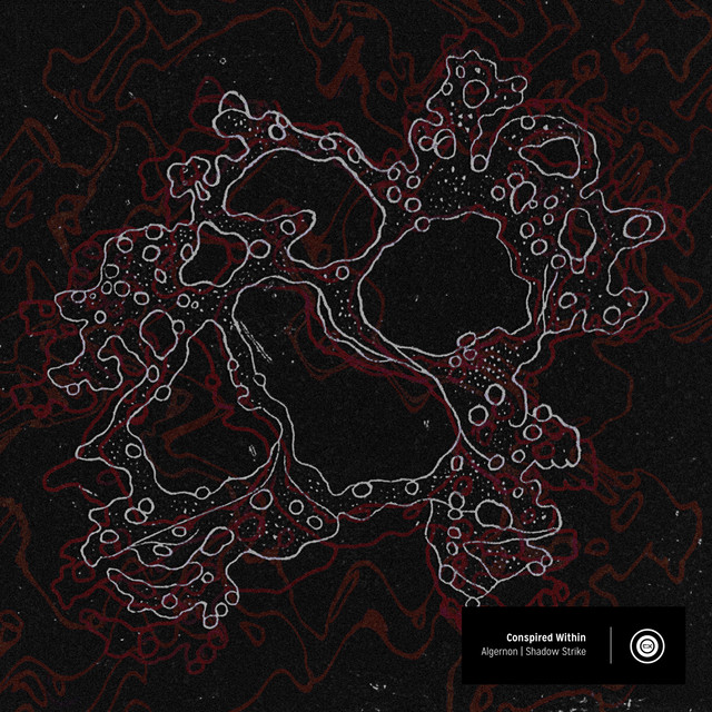 Conspired Within cover