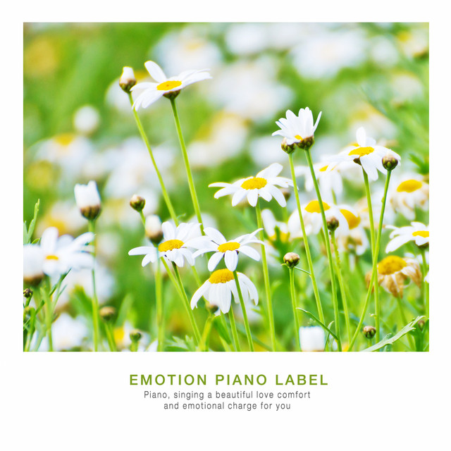 Piano music for your happy sleep - Compilation by Various Artists | Spotify