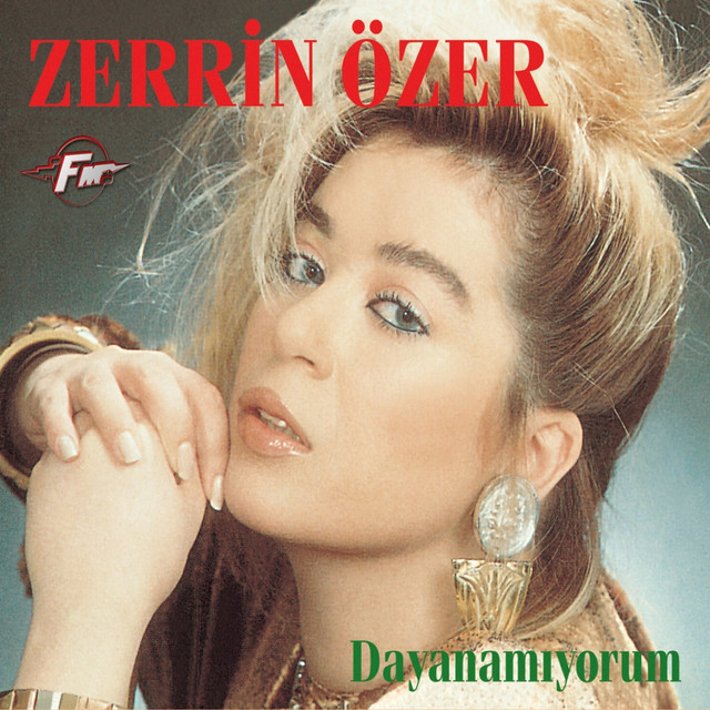 Dayanamıyorum cover art