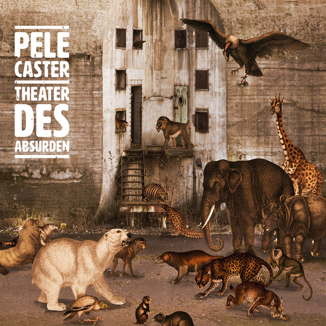 Pele Caster Photo