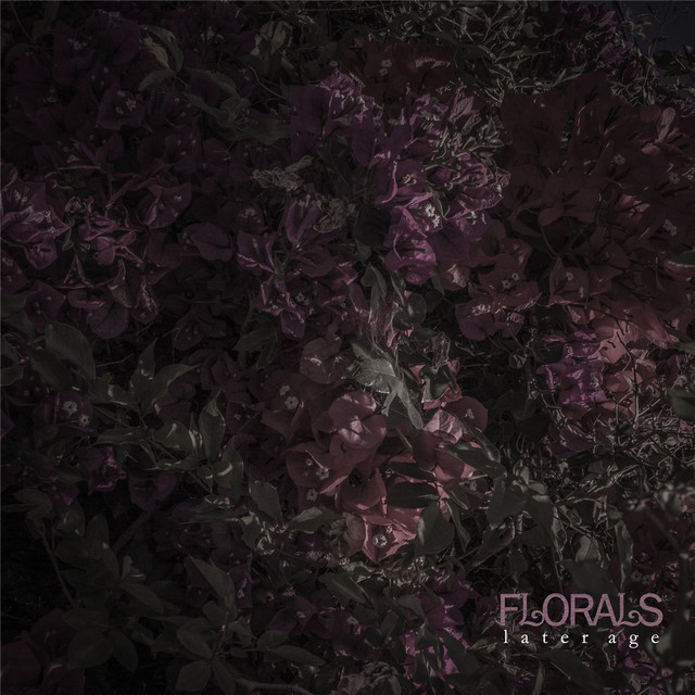 Later Age cover art