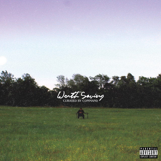 Worth Saving (Curated By Command) cover art