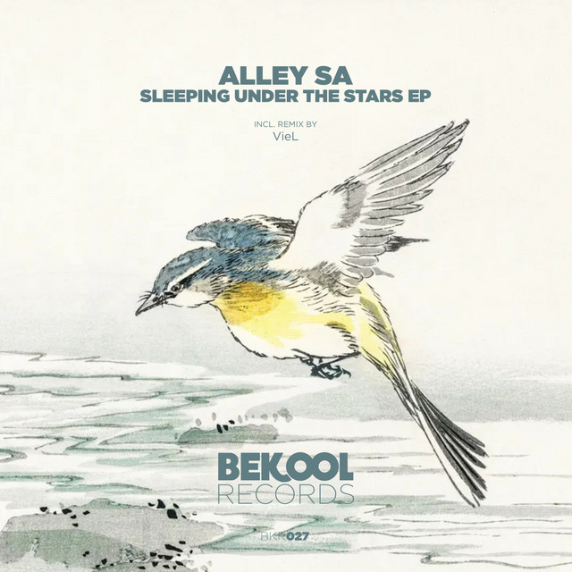 Sleeping Under the Stars - VieL Remix album art