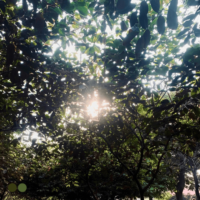 Aakhir album image